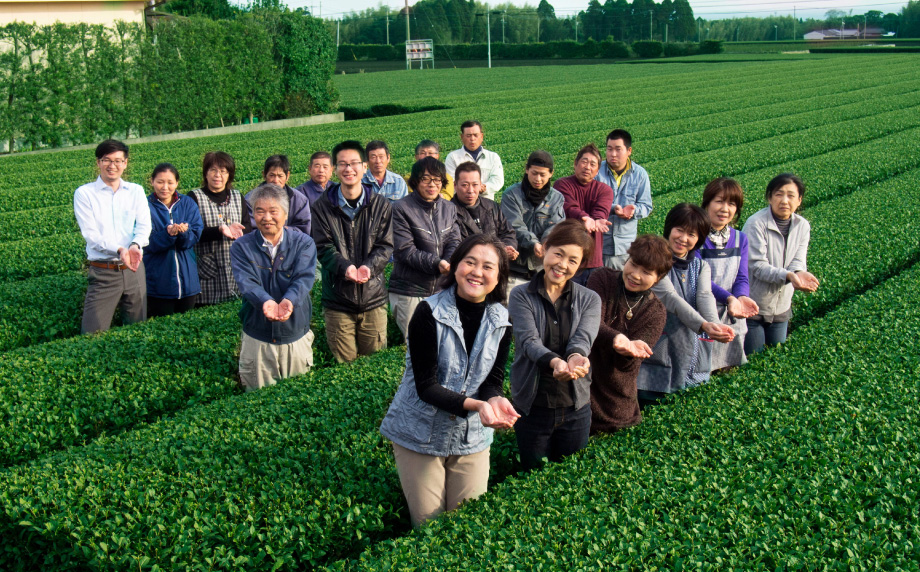 鹿児島知覧茶 おりた園ブランディング