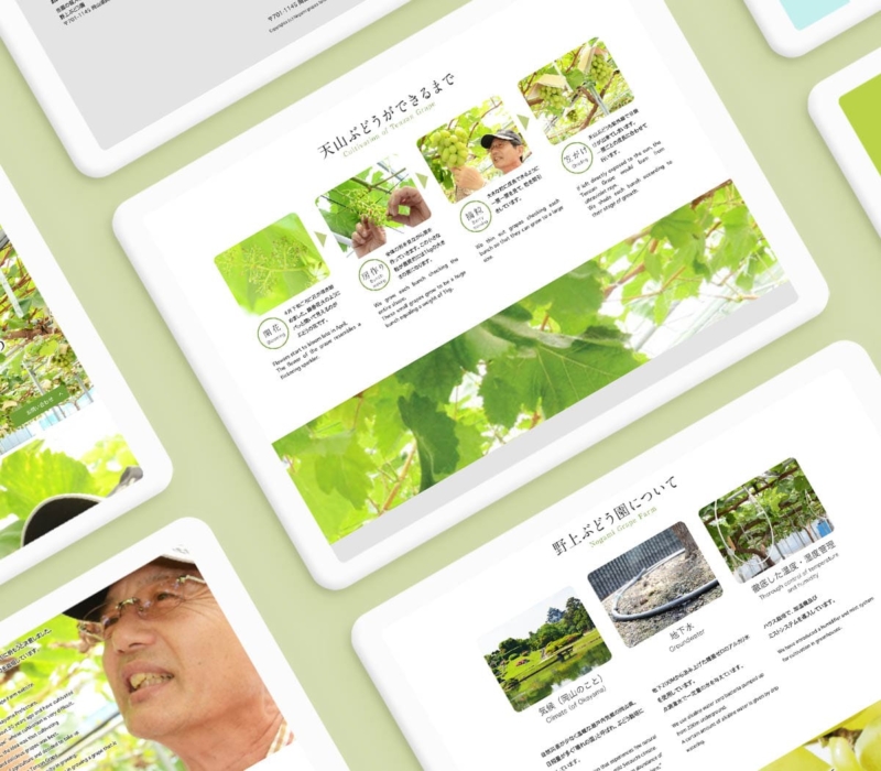 ブランドサイト 天山ぶどう3