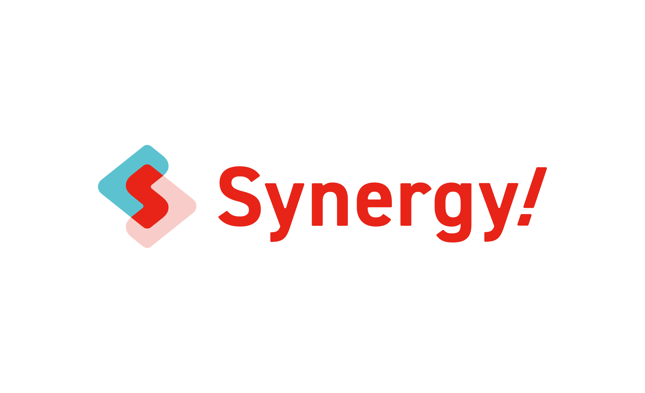 ブランディングプロジェクト事例-Synergy! リブランディング | 株式